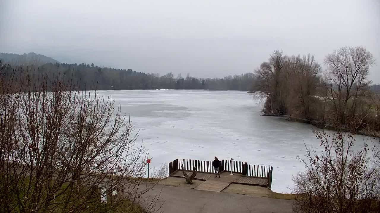 Webcam Ribnik Vrbje – Žalec