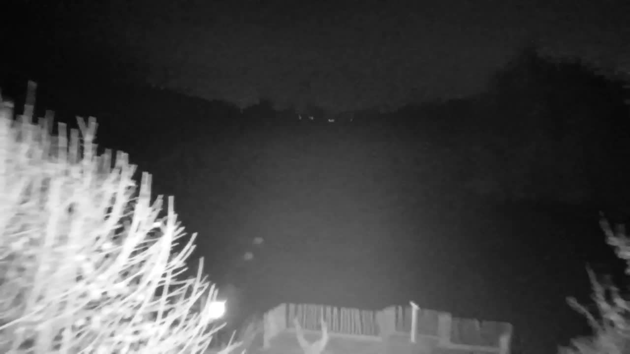 Webcam Ribnik Vrbje – Žalec