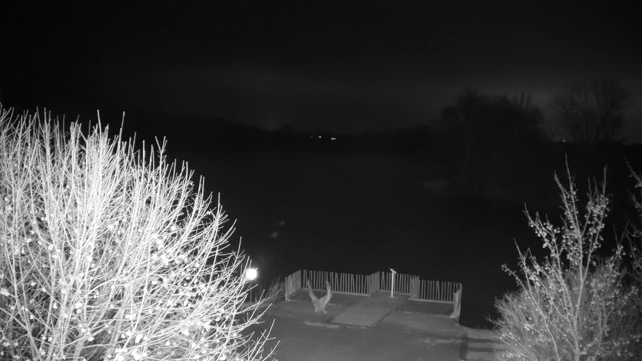 Web kamera Ribnik Vrbje – Žalec