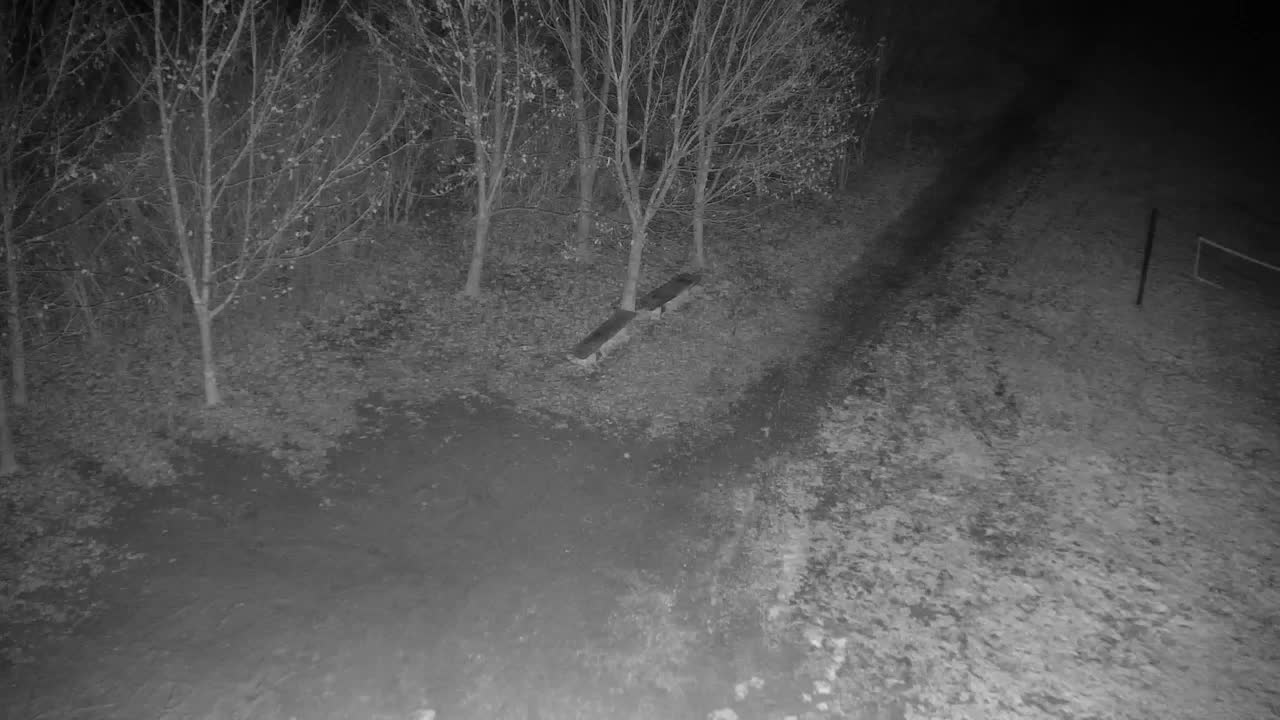 Webcam Ribnik Vrbje – Žalec