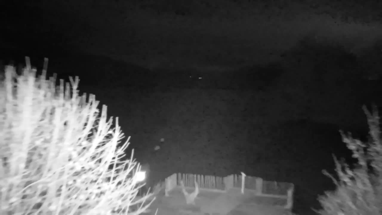 Webcam Ribnik Vrbje – Žalec