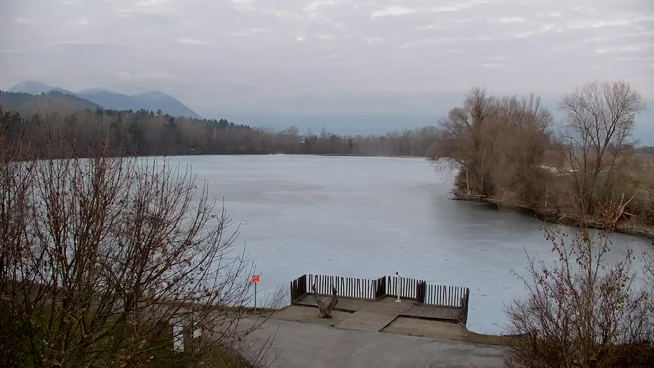 Webcam Ribnik Vrbje – Žalec