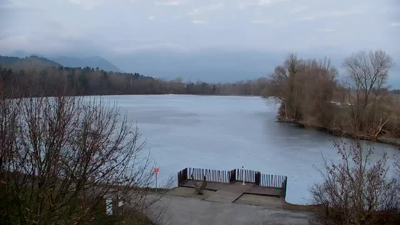 Spletna kamera Ribnik Vrbje – Žalec