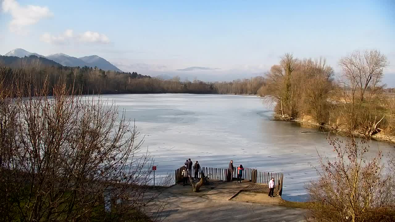 Webcam Ribnik Vrbje – Žalec