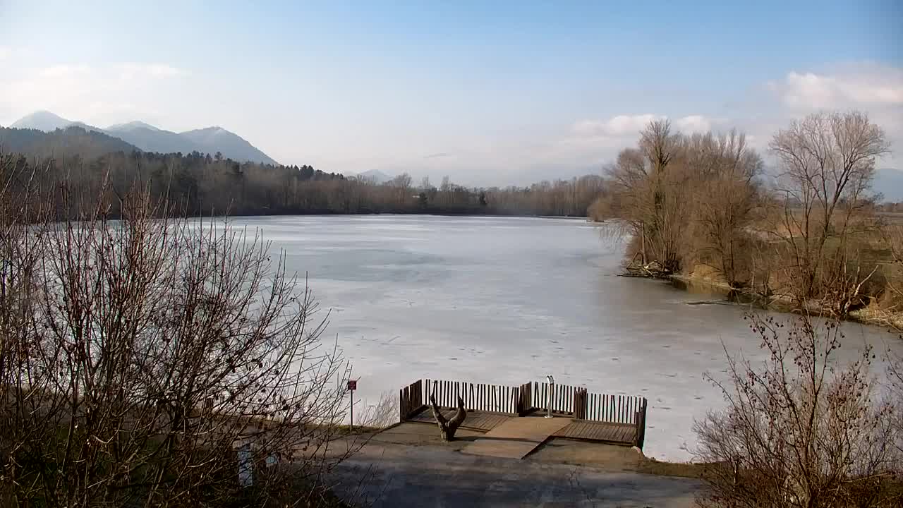 Webcam Ribnik Vrbje – Žalec