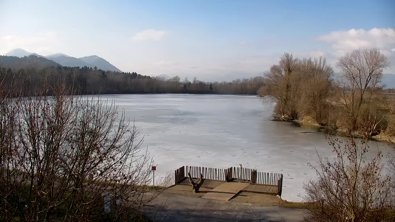 Webcam Ribnik Vrbje – Žalec