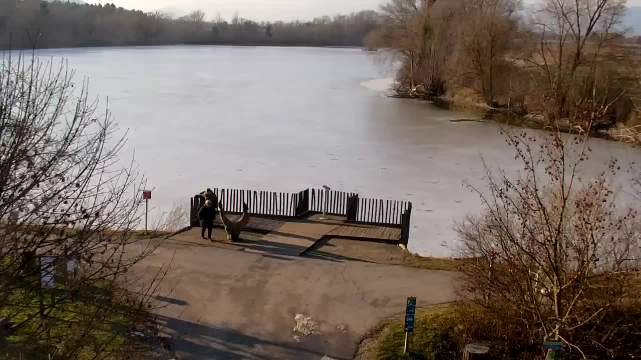 Webcam Ribnik Vrbje – Žalec