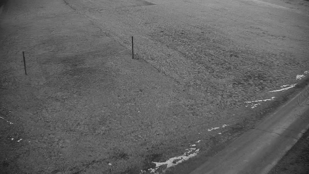 Spletna kamera Ribnik Vrbje – Žalec