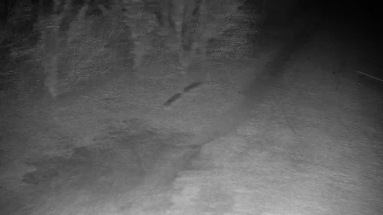 Webcam Ribnik Vrbje – Žalec