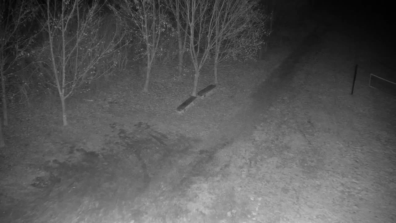 Webcam Ribnik Vrbje – Žalec