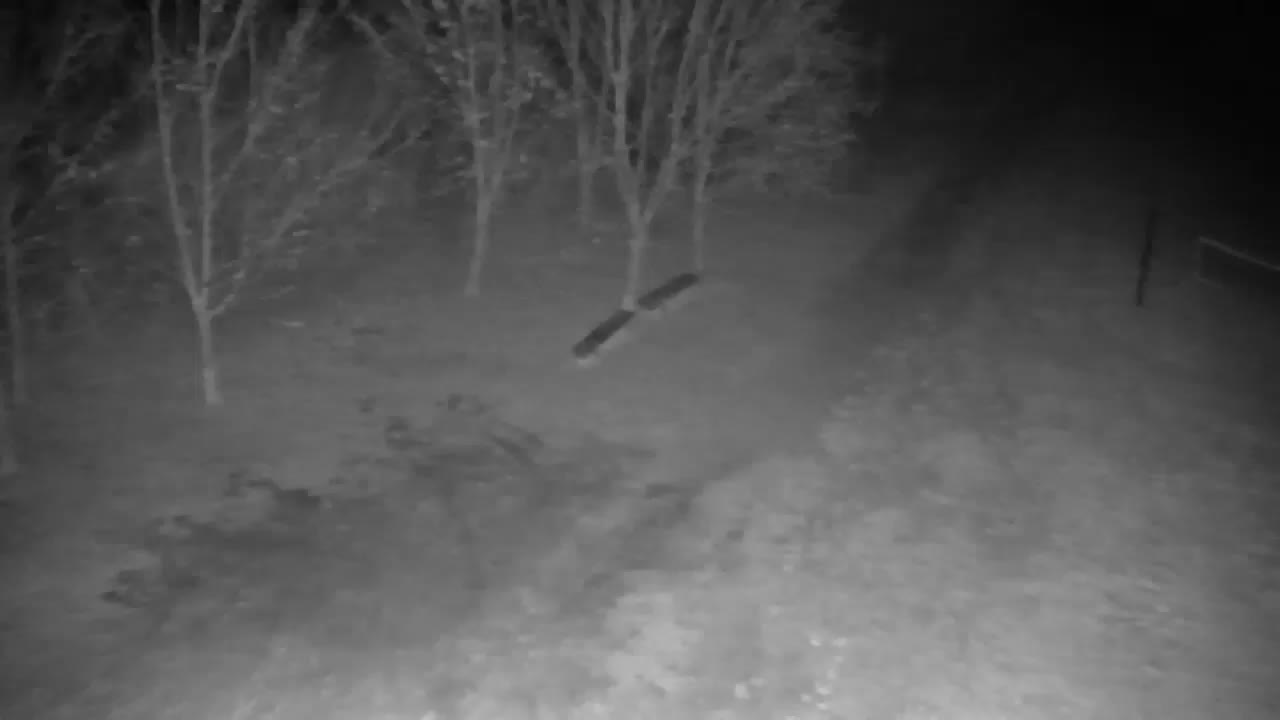 Webcam Ribnik Vrbje – Žalec