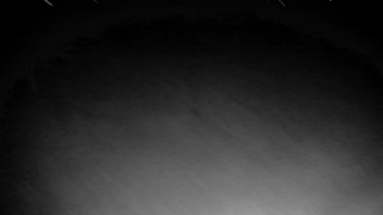 Webcam Ribnik Vrbje – Žalec