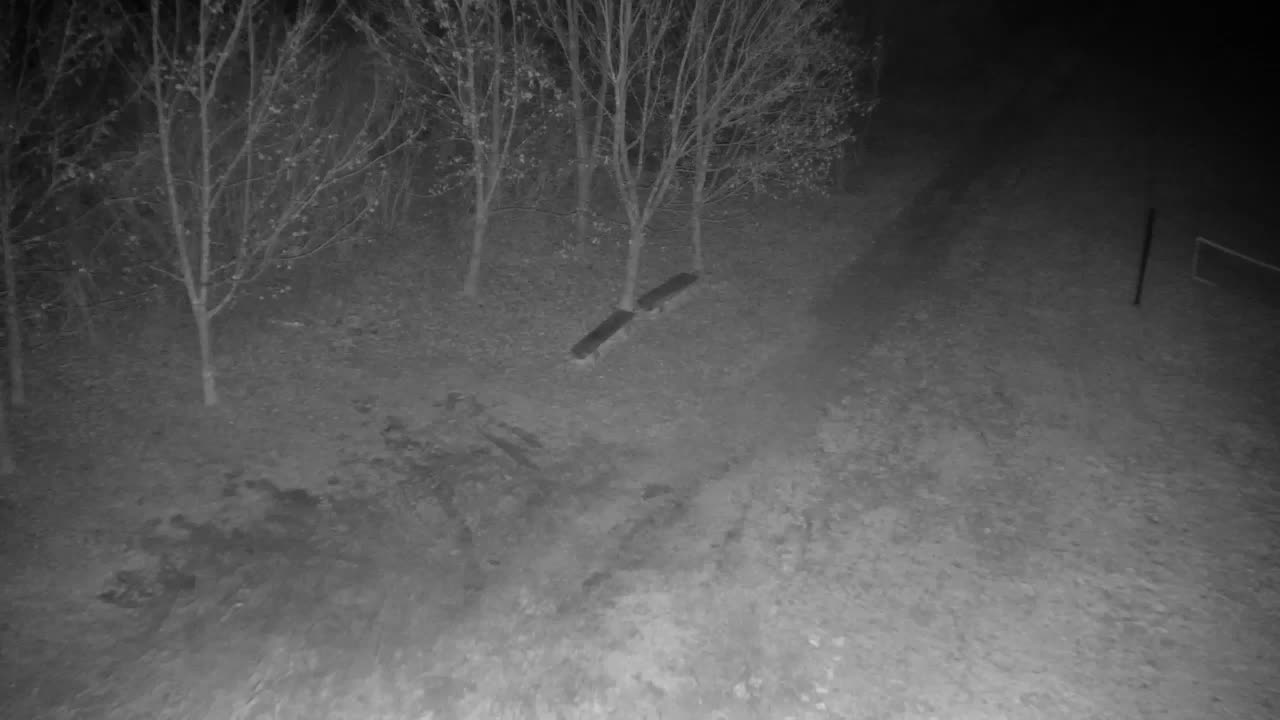 Webcam Ribnik Vrbje – Žalec