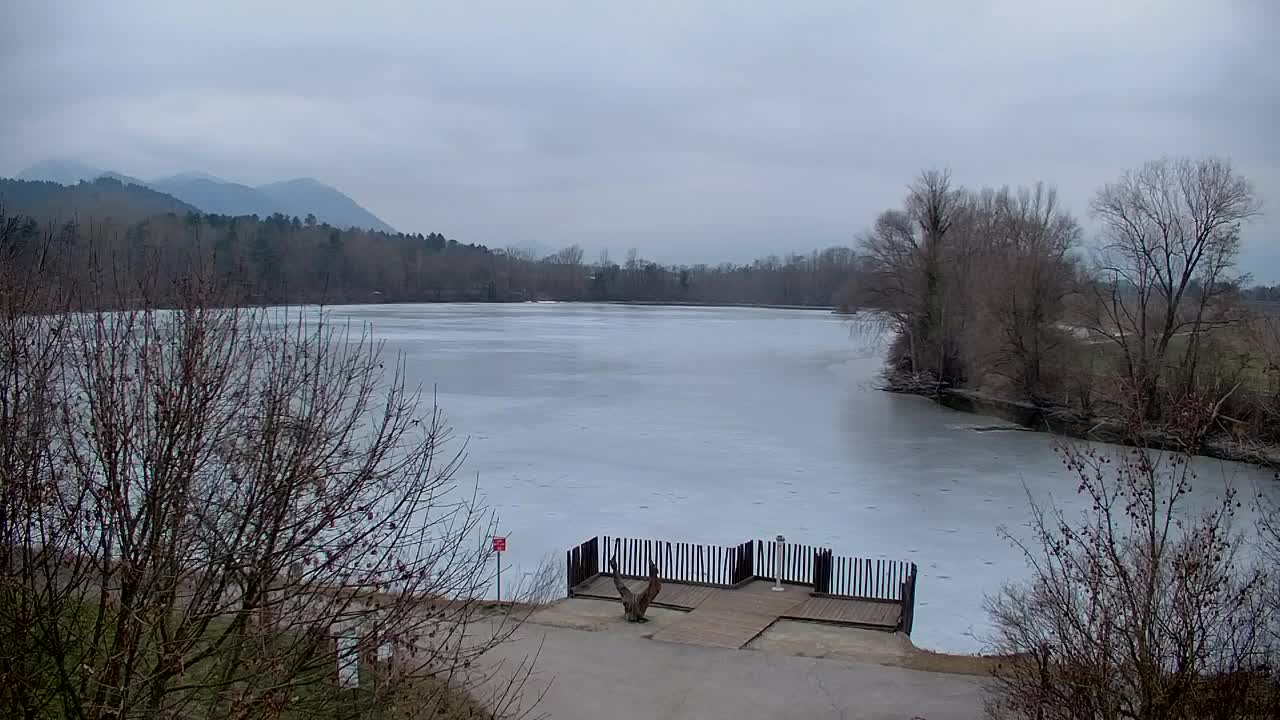 Webcam Ribnik Vrbje – Žalec