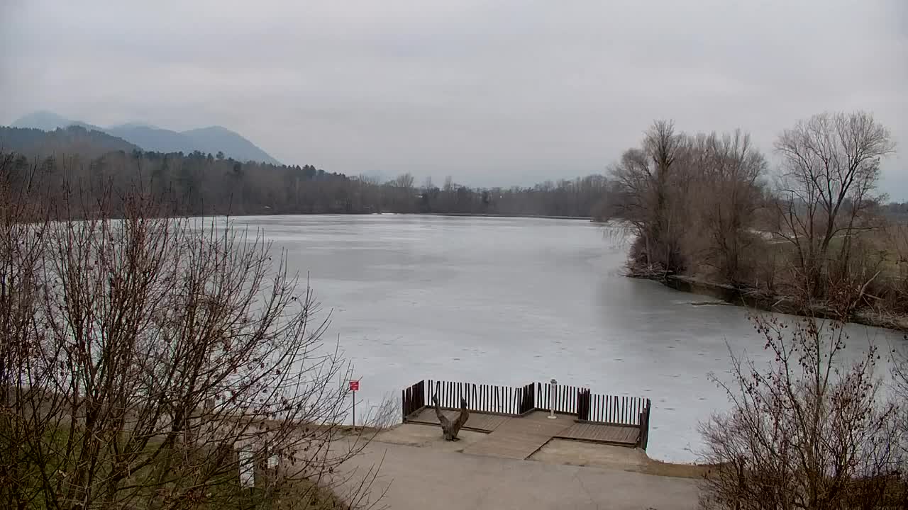 Webcam Ribnik Vrbje – Žalec