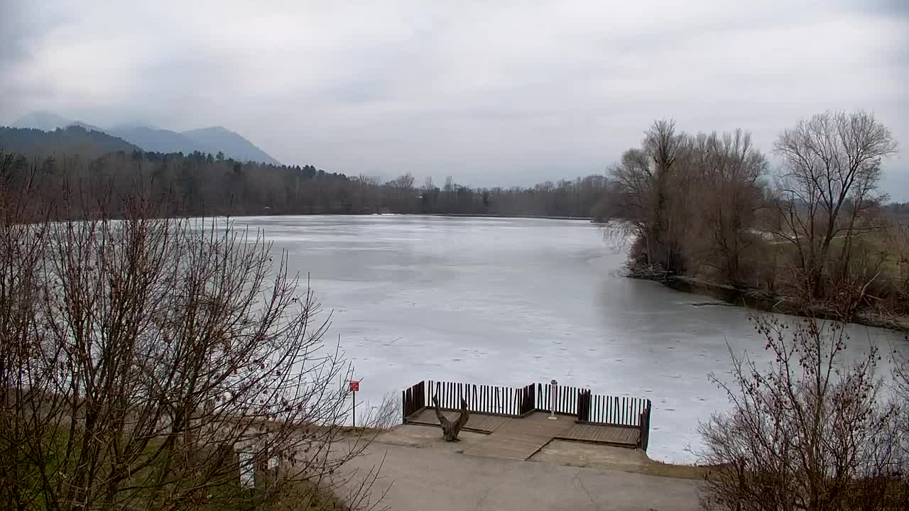 Webcam Ribnik Vrbje – Žalec