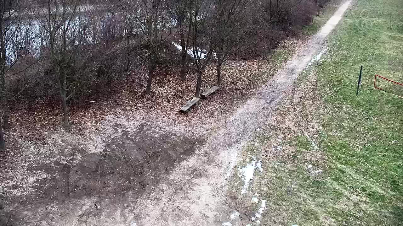 Webcam Ribnik Vrbje – Žalec