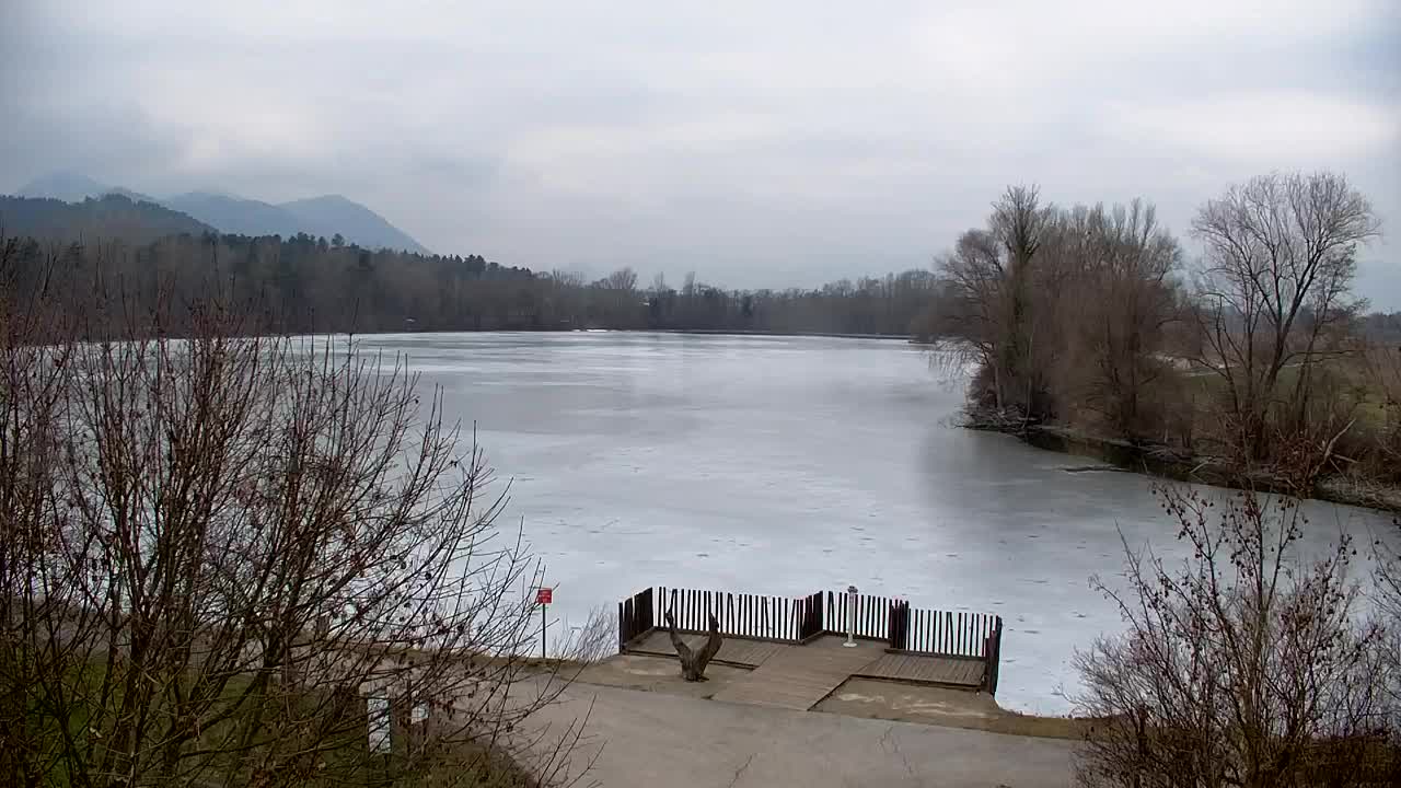 Webcam Ribnik Vrbje – Žalec