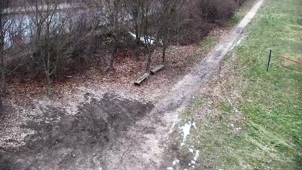 Web kamera Ribnik Vrbje – Žalec