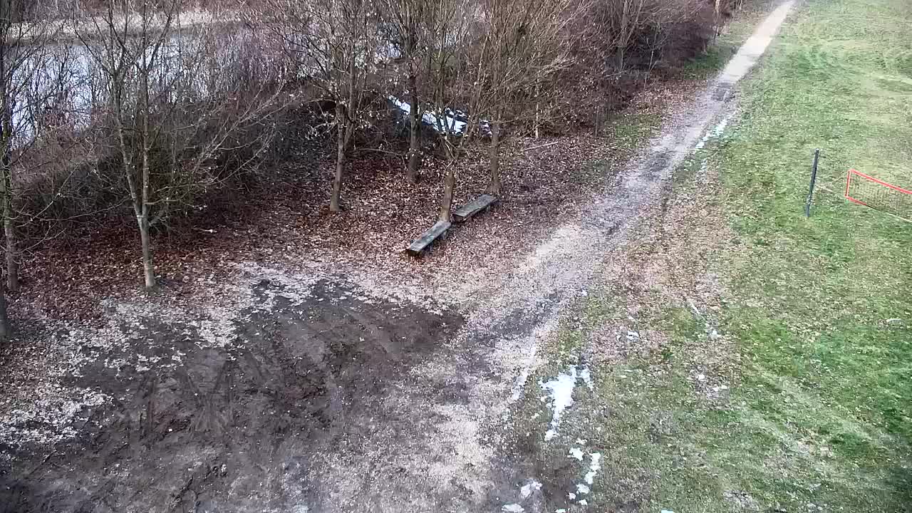 Webcam Ribnik Vrbje – Žalec