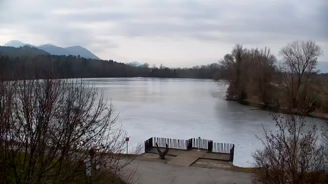 Webcam Ribnik Vrbje – Žalec