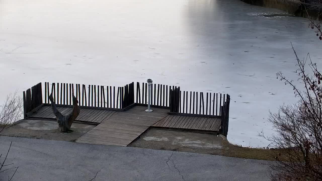 Spletna kamera Ribnik Vrbje – Žalec