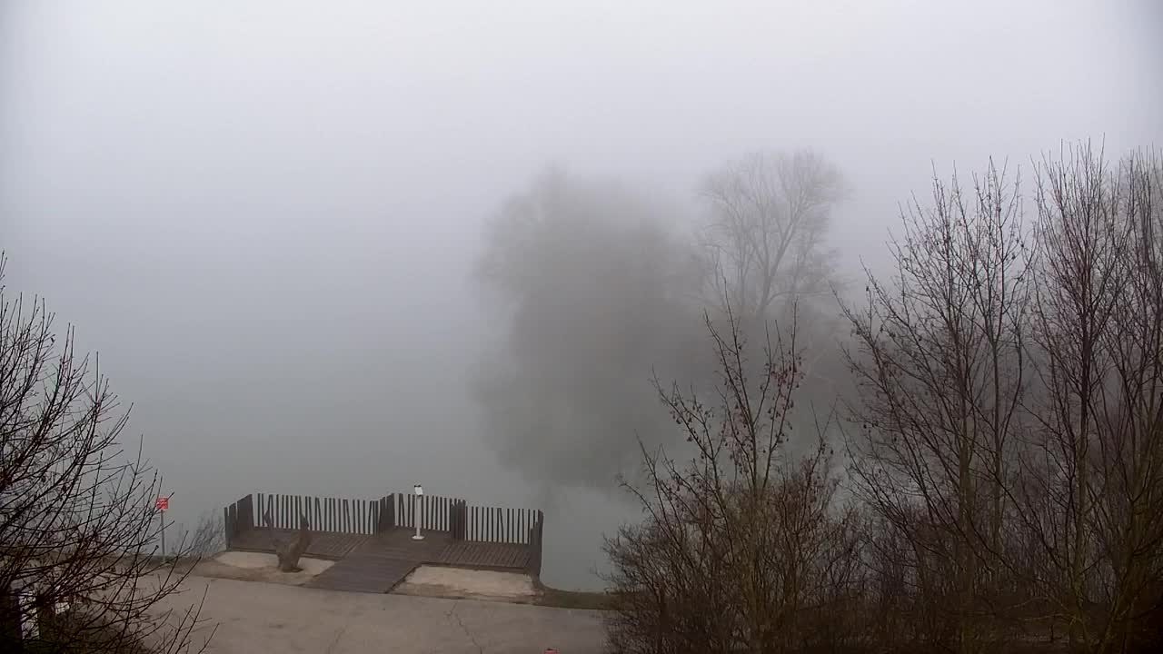 Webcam Ribnik Vrbje – Žalec