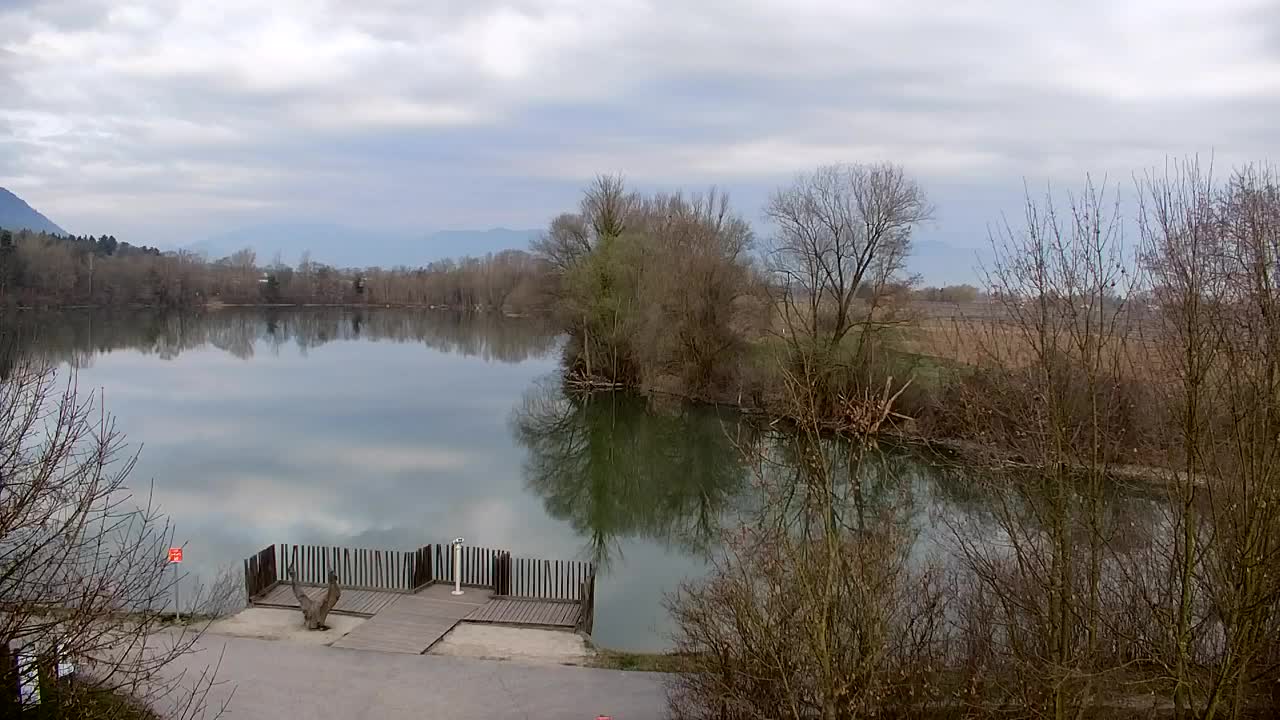 Webcam Ribnik Vrbje – Žalec