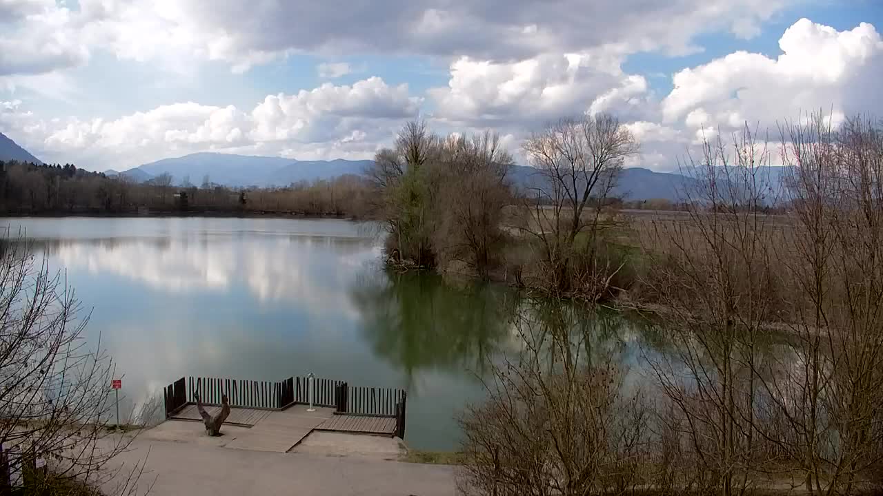 Webcam Ribnik Vrbje – Žalec