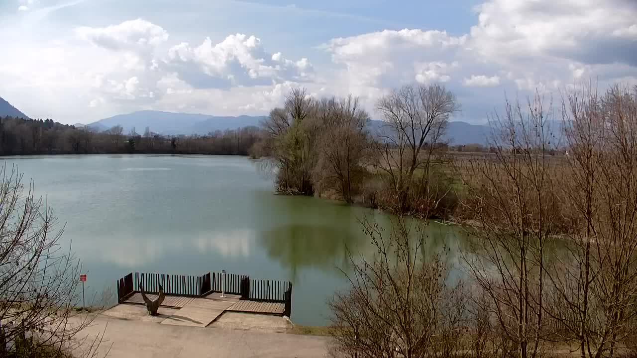 Webcam Ribnik Vrbje – Žalec