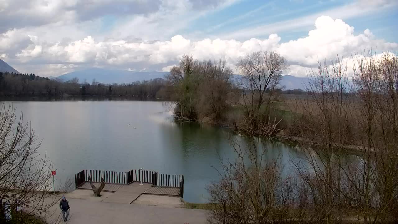 Webcam Ribnik Vrbje – Žalec