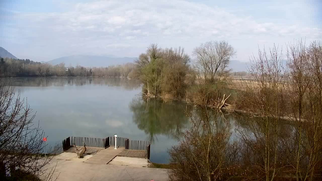 Webcam Ribnik Vrbje – Žalec