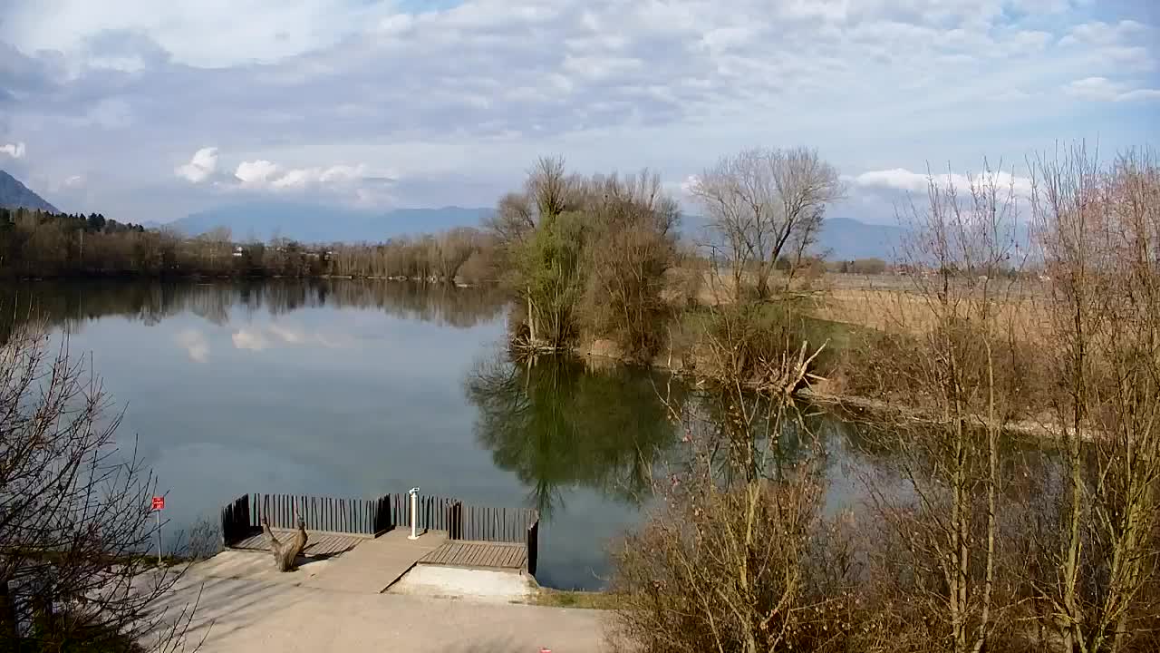 Webcam Ribnik Vrbje – Žalec