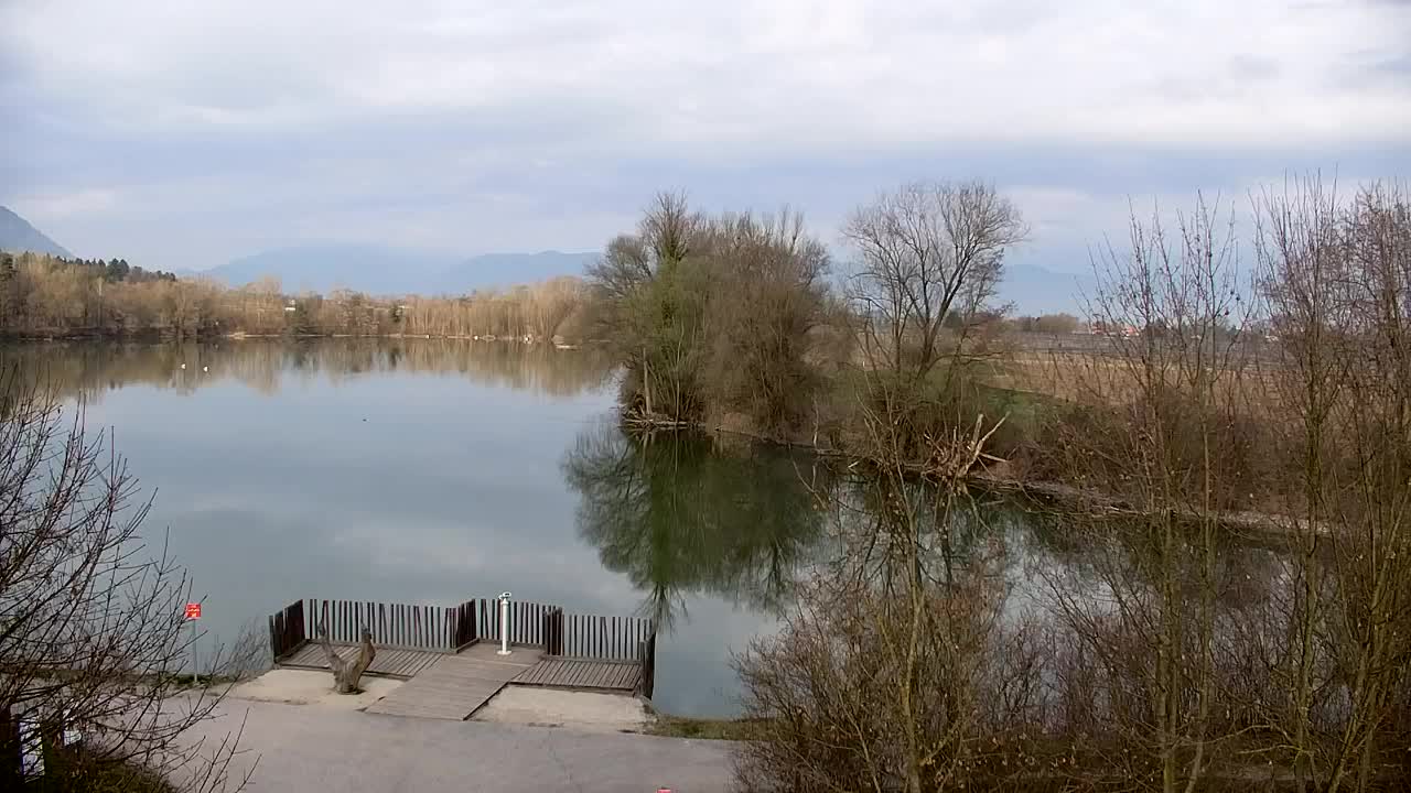 Webcam Ribnik Vrbje – Žalec