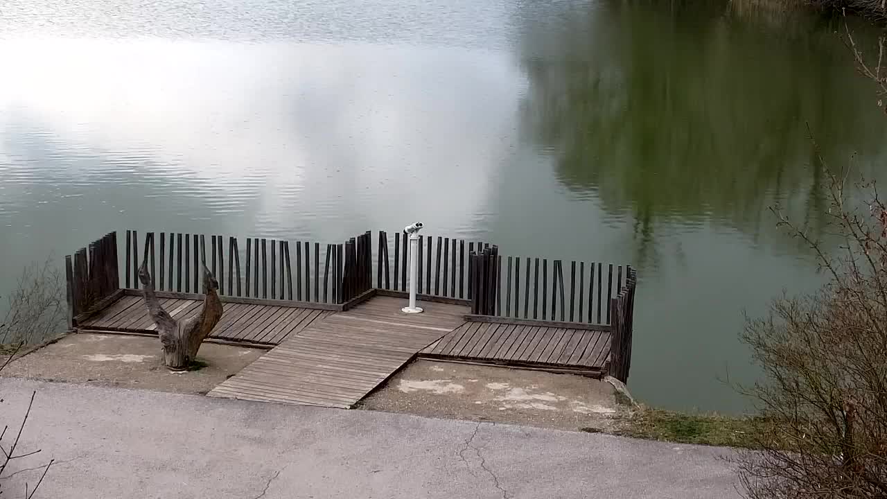 Webcam Ribnik Vrbje – Žalec