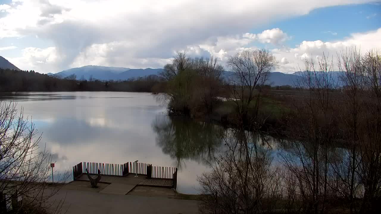 Spletna kamera Ribnik Vrbje – Žalec