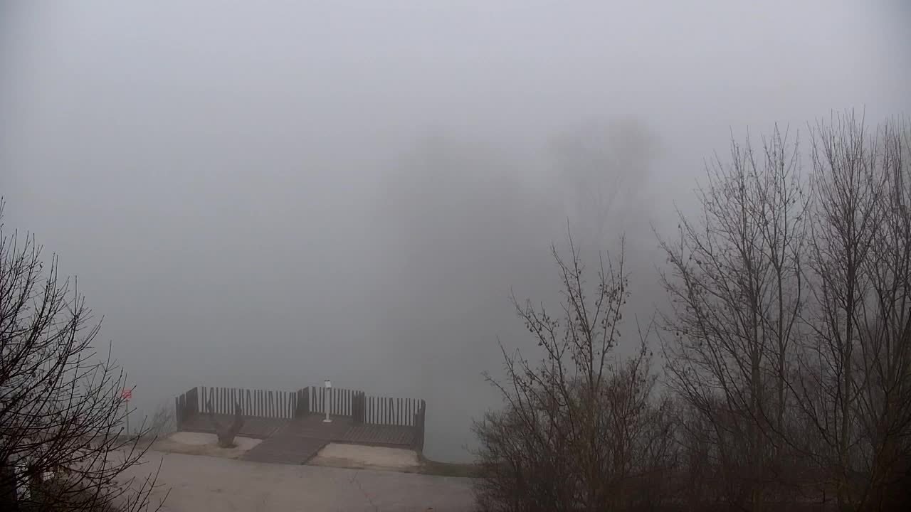 Web kamera Ribnik Vrbje – Žalec