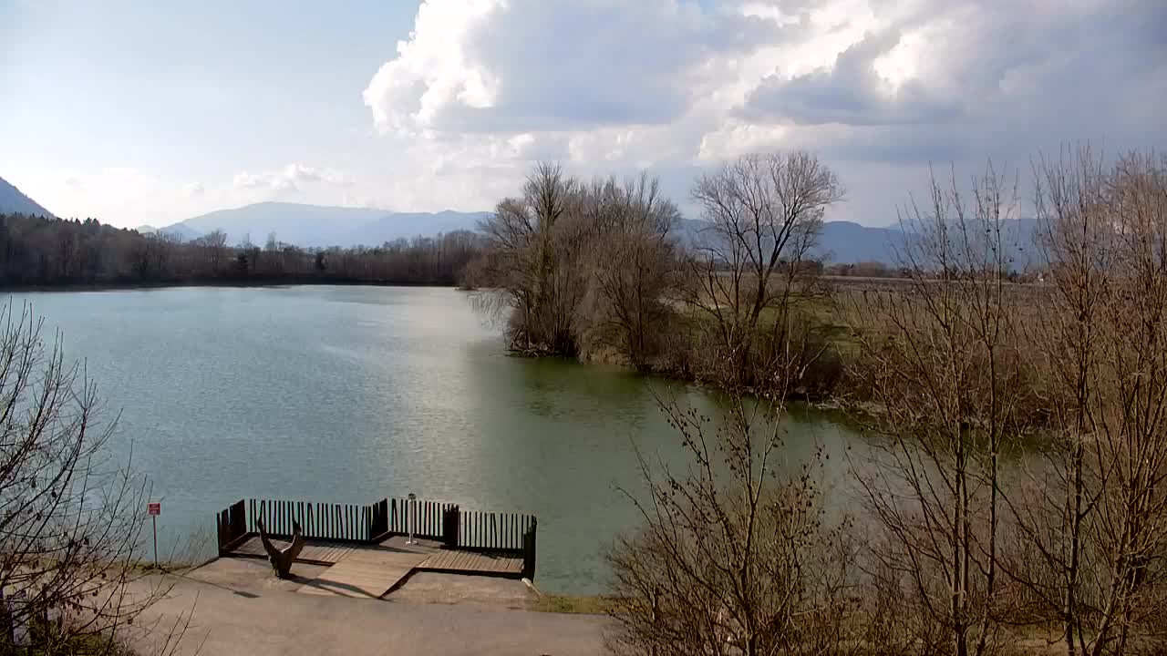 Webcam Ribnik Vrbje – Žalec