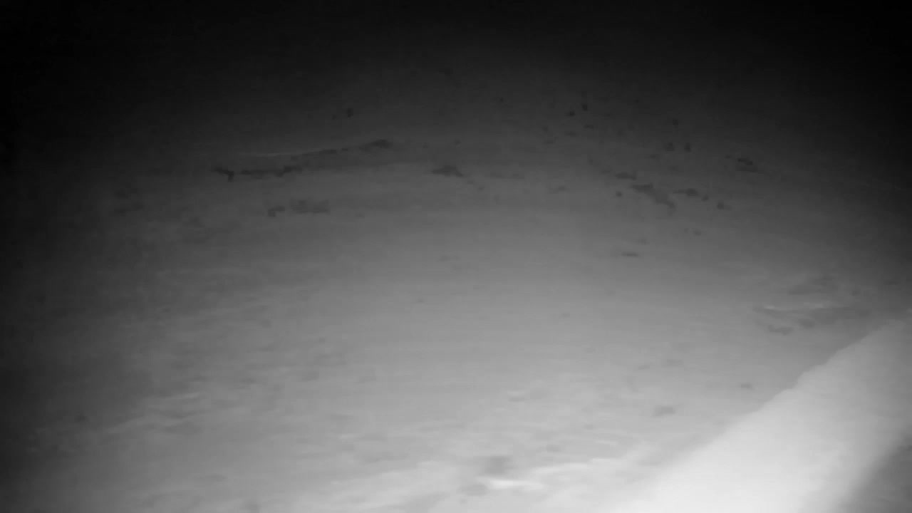 Webcam Ribnik Vrbje – Žalec