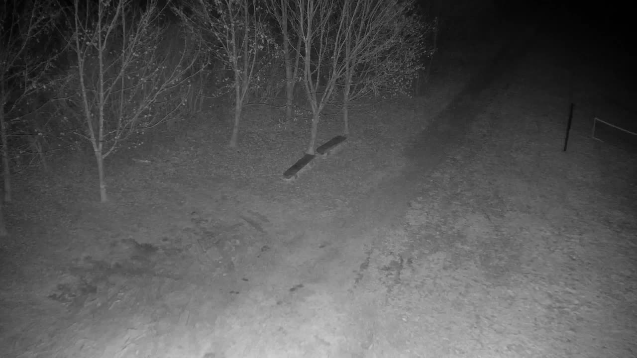 Webcam Ribnik Vrbje – Žalec