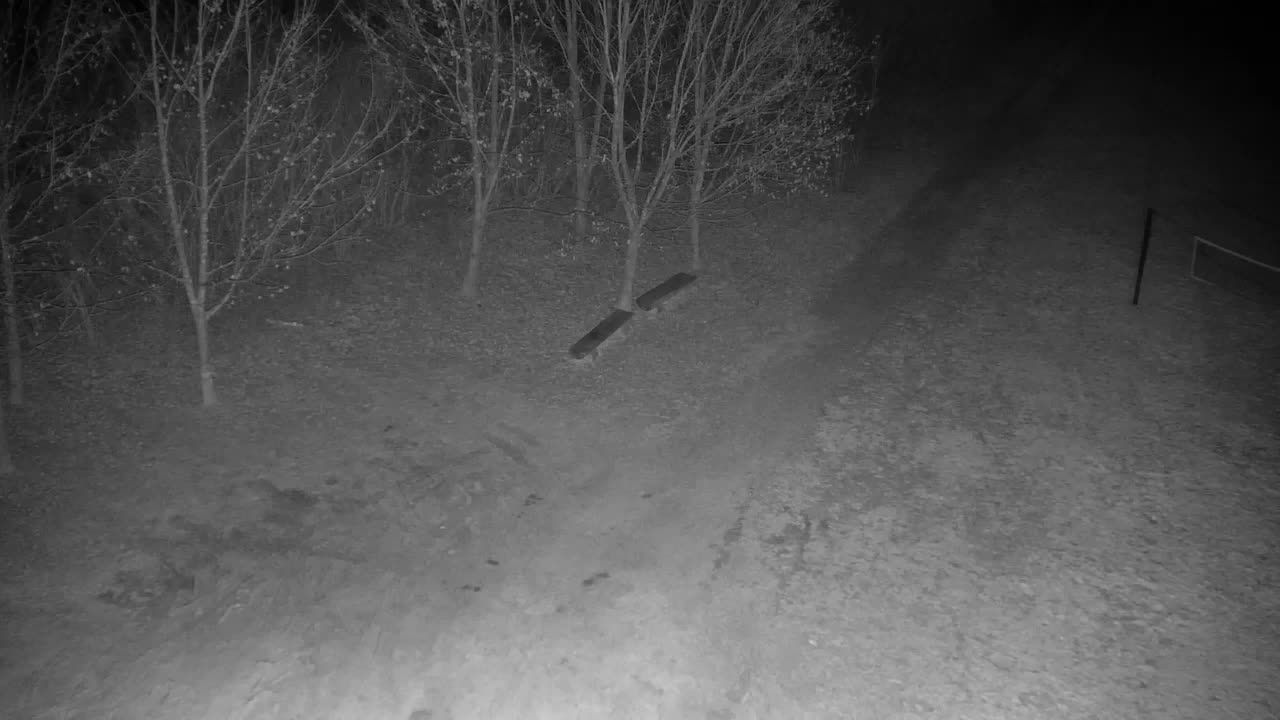 Webcam Ribnik Vrbje – Žalec