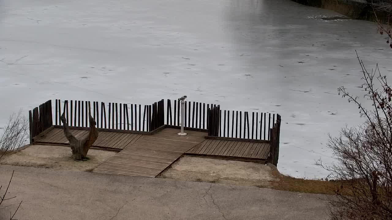 Webcam Ribnik Vrbje – Žalec