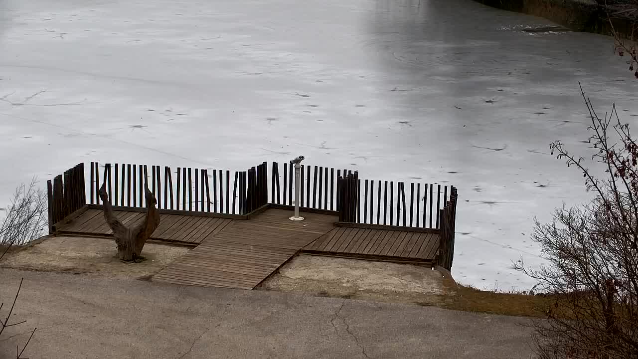 Webcam Ribnik Vrbje – Žalec