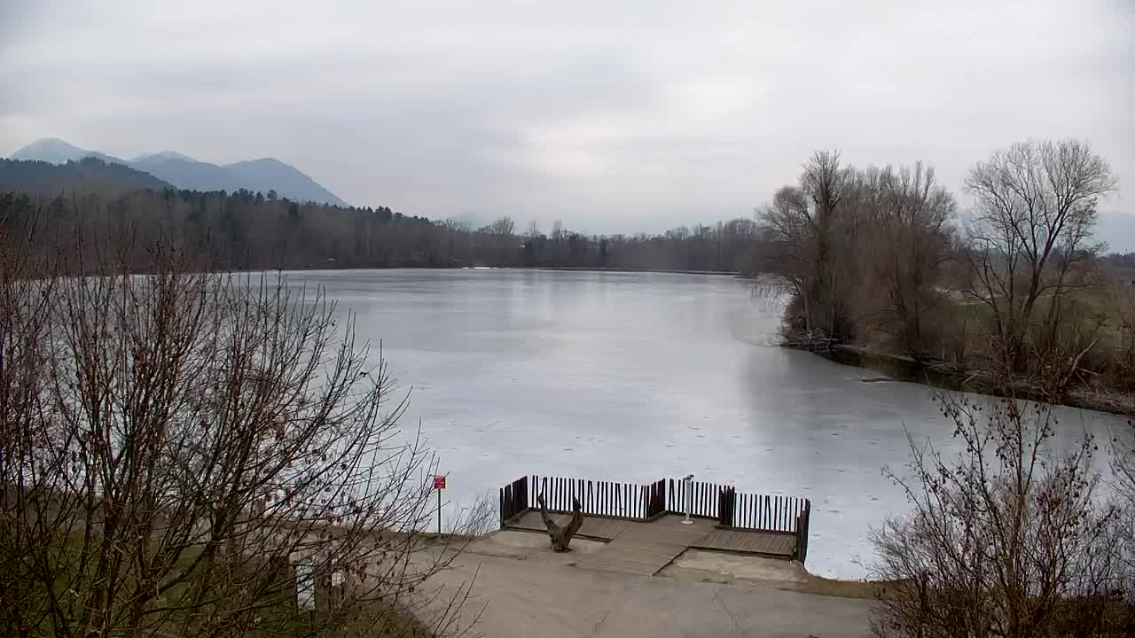 Webcam Ribnik Vrbje – Žalec