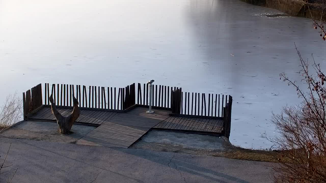 Webcam Ribnik Vrbje – Žalec