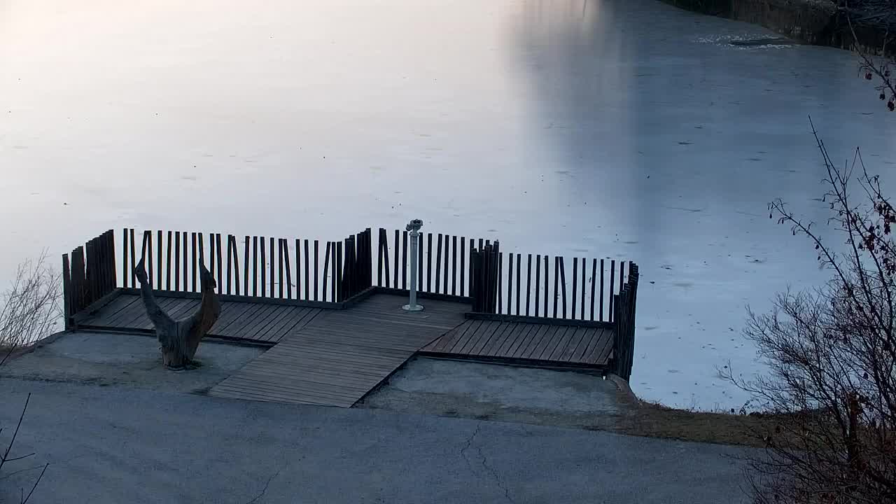 Webcam Ribnik Vrbje – Žalec