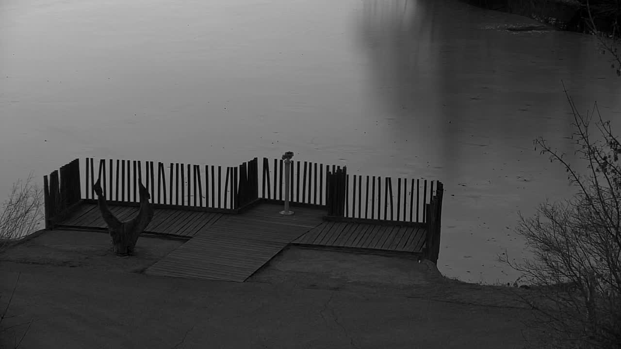 Webcam Ribnik Vrbje – Žalec