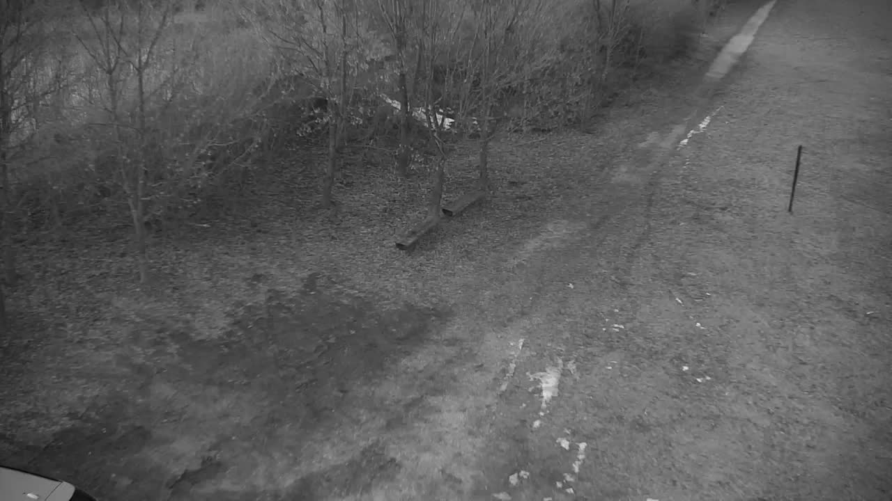 Webcam Ribnik Vrbje – Žalec