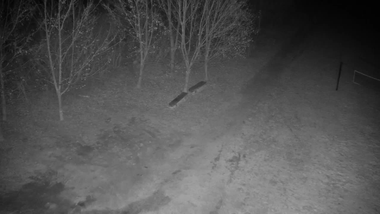 Webcam Ribnik Vrbje – Žalec