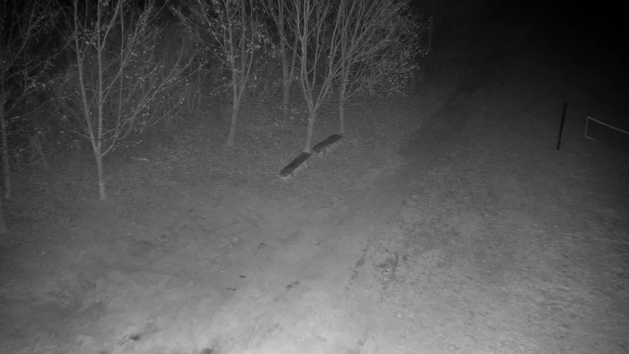 Webcam Ribnik Vrbje – Žalec